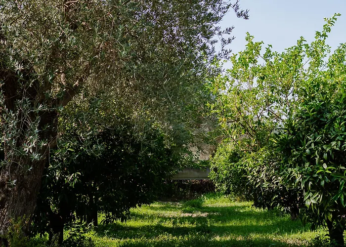 卡萨乐特沃酒店
