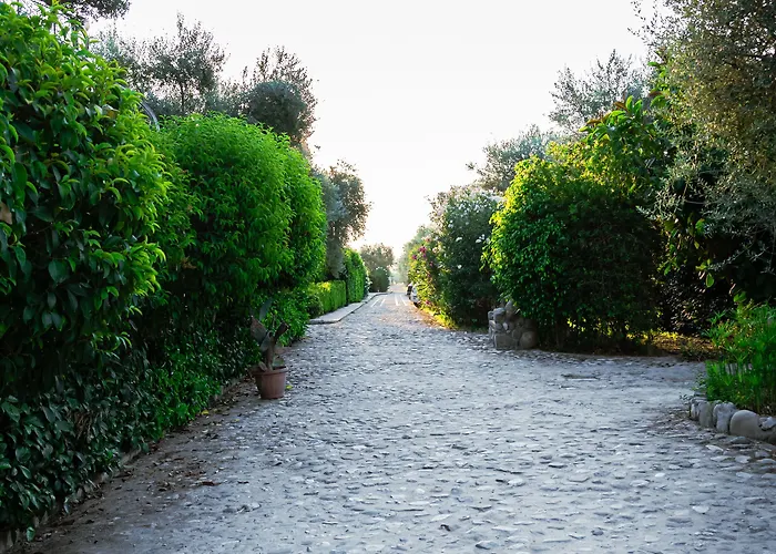 卡萨乐特沃酒店 Solfara Mare